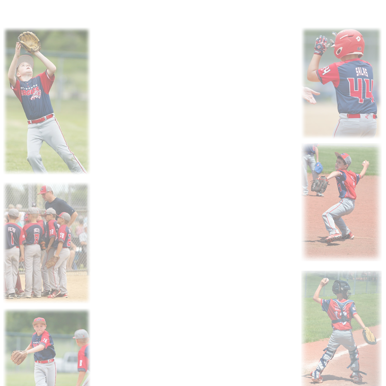 Screaming Eagles Baseball action photo 1